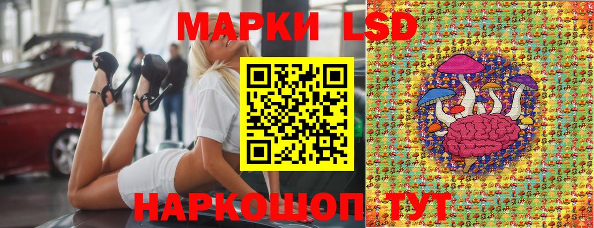 Наркотические марки 1500мкг  Наркотические марки 1500мкг  Вход с VPN  Вышний Волочёк 