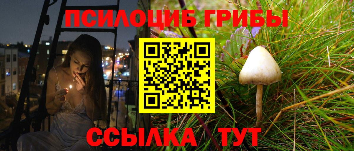 Псилоцибиновые грибы Magic Shrooms  Вход с VPN  закладка  Вышний Волочёк 