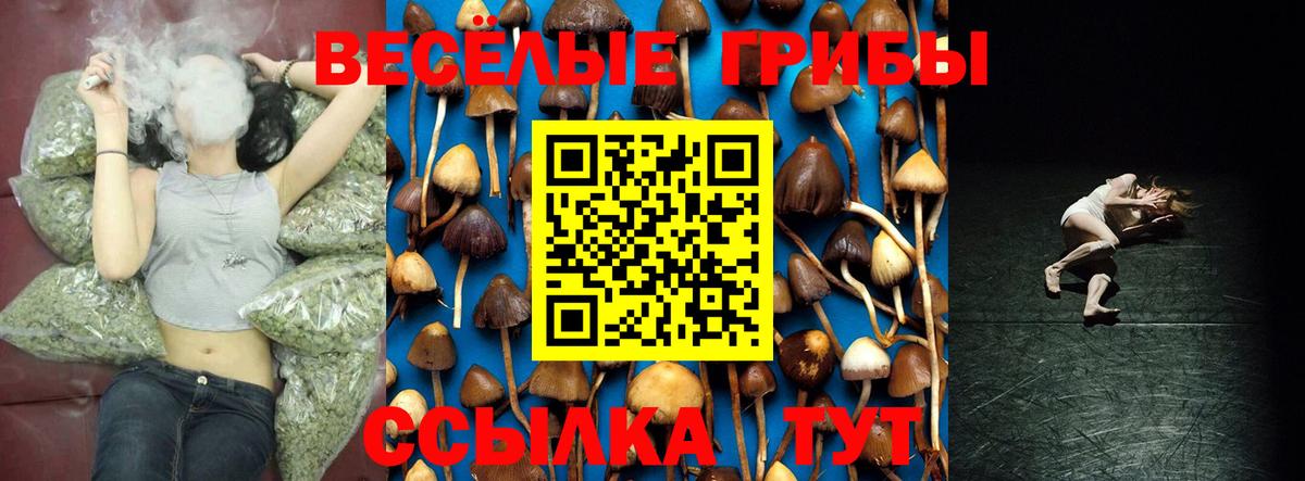 Галлюциногенные грибы мицелий Вышний Волочёк